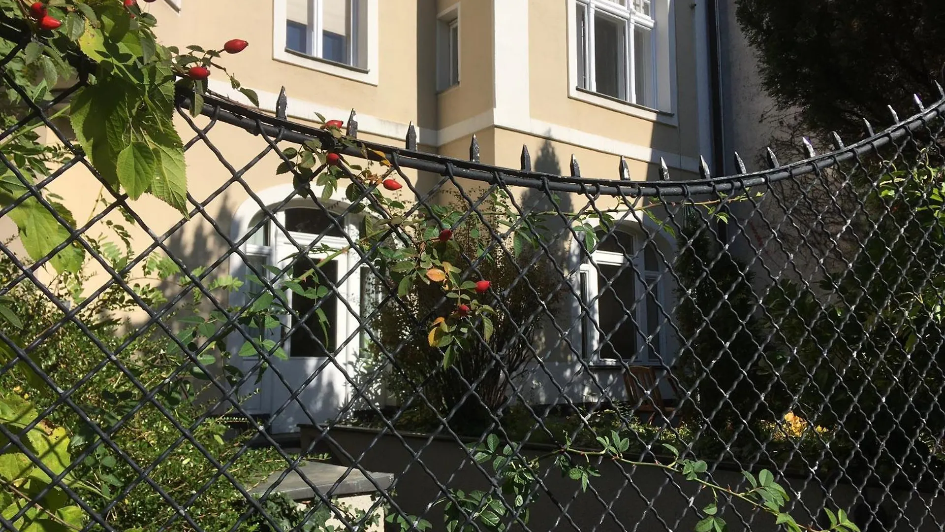 Studio Waehring Vienna Appartamento
